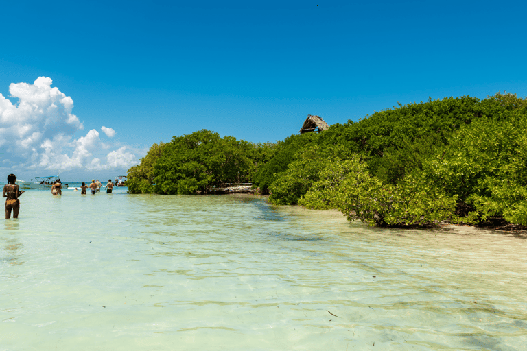 Ab Riviera Maya: Holbox Ganztagestour mit Mittagessen