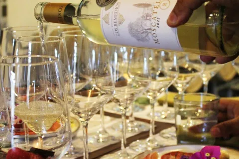Guanajuato : Vignoble Los Remedios