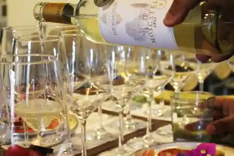 Guanajuato : Vignoble Los Remedios