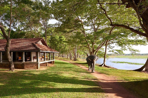 From Sigiriya to Polonnaruwa Transfer with Sightseeing Stops