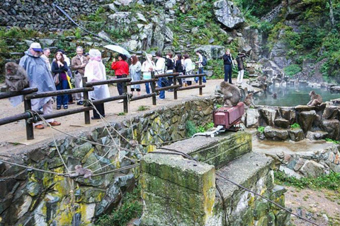 Tokyo: Nagano Day Trip with Zen Calligraphy & Tea Ceremony