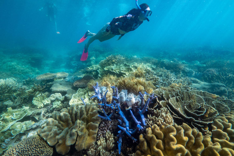 From Cairns: 2 Islands 1 day - Fitzroy & Green Islands Two Islands with Snorkel Gear