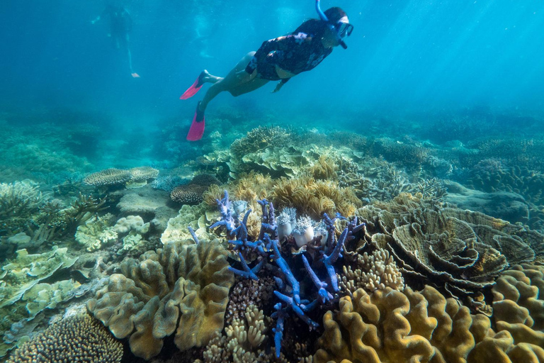 From Cairns: 2 Islands 1 day - Fitzroy & Green Islands Two Islands with Snorkel Gear