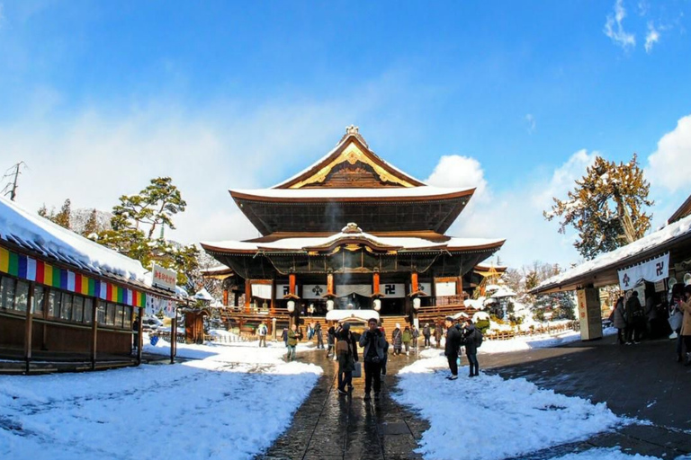 Nagano/Tokyo: Snow Monkey Private Car Tour Hotel Pick & Drop