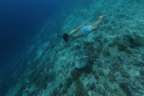 Private Snorkeling in Gili Trawangan, meno & air with goopro Option 1:Private Snorkeling in Gili T,meno & air with goopro