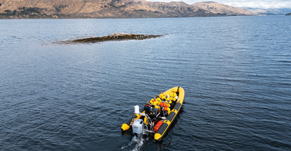 Afbeelding 5 van Fort William: 2 uur durende boottocht naar Loch Linnhe en Glencoe