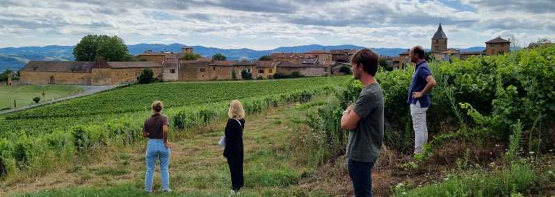 Lyon: Tour do vinho Beaujolais