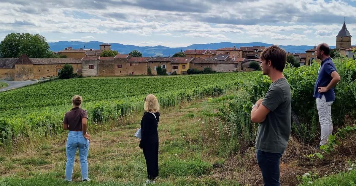 Lyon: Beaujolais Wine Tour | GetYourGuide