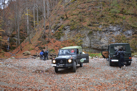 From Bucharest: Brădetu 4x4 Tour with Lunch, Hotel Pick-Up