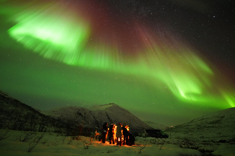 Tromsø: Northern Lights Tour with Free Professional Portrait