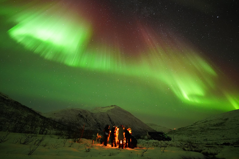 Tromsø: Tour dell&#039;aurora boreale con ritratto professionale gratuito