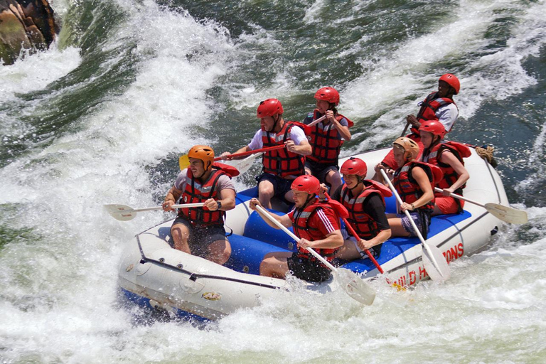 Victoria Falls: White Water Rafting