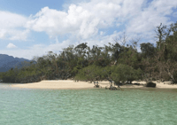 Coron Island Super Ultimate Tour con almuerzo (gira de carpintería) - Housity