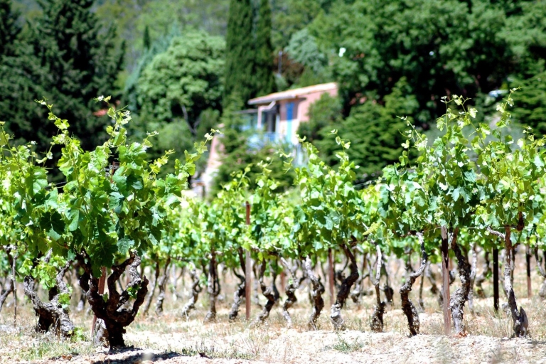 Tour de vino de medio día en AndalucíaTour privado