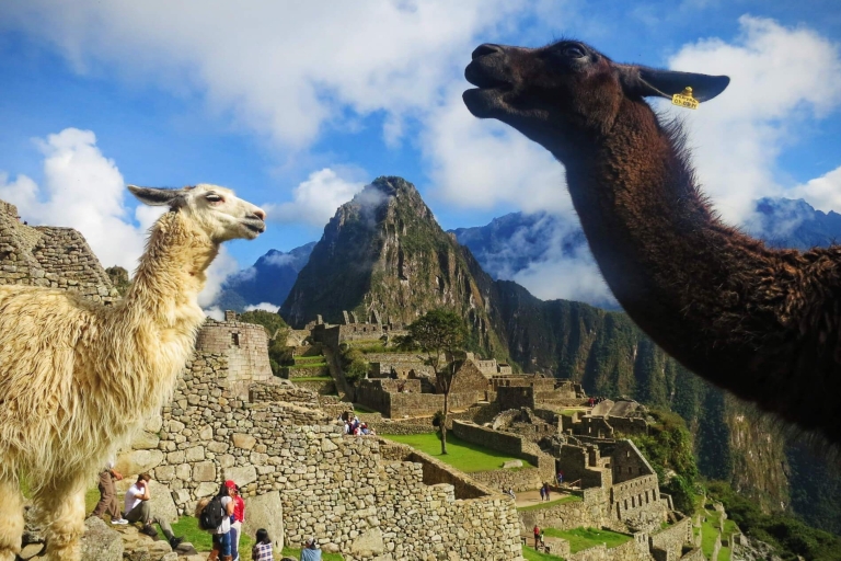 Cusco: Excursion Machu Picchu 1-day by Train | Private Tour FULL DAY TOUR MACHU PICCHU BY TRAIN |private tour|