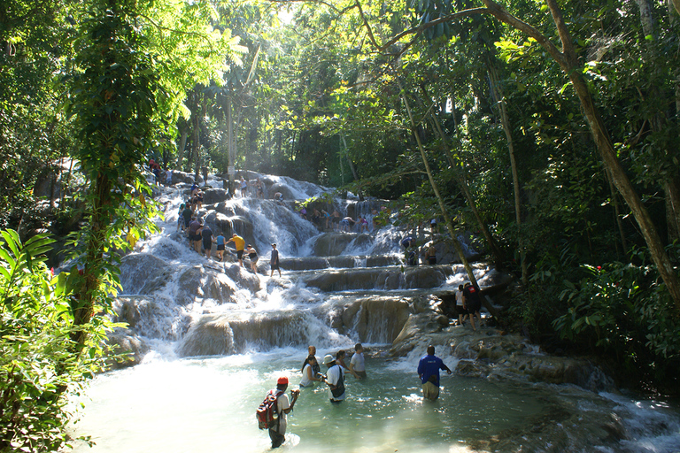 Bob Marley Mausoleum & Dunn’s River Falls Private Tour