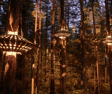 Rotorua: Redwoods Altitude, Nighttime Fast Pass, & Treewalk