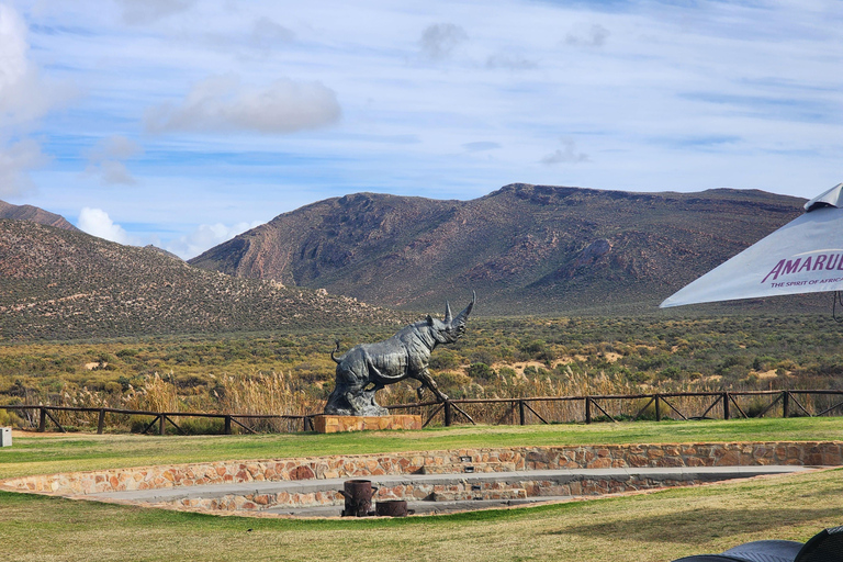 Kaapstad: Aquila big five safari met vervoer &amp; lunch