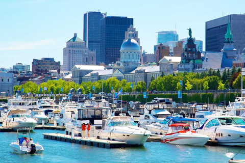 Full-Day Montreal Guided City Tour with Cruise from Ottawa