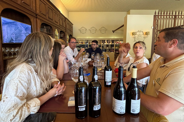 Douro Valley: Wine & Olive Oil Tour with Boat & Lunch Douro Valley: 2 Wineries, Boat Cruise & Traditional Lunch