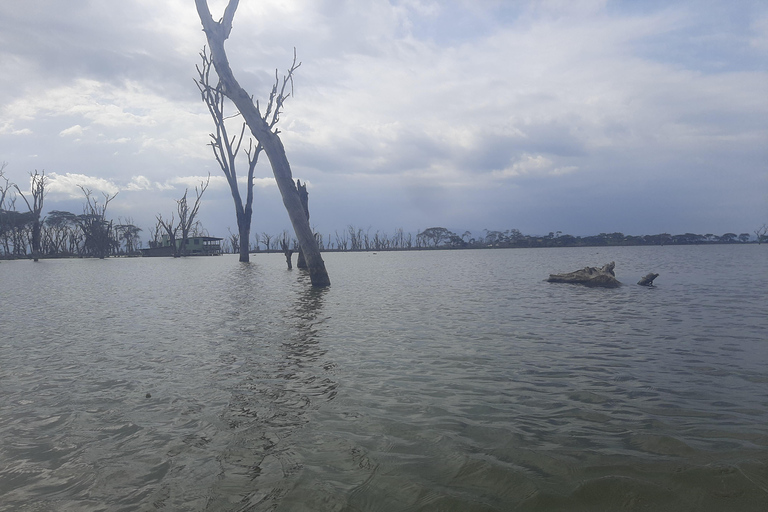 Naivasha: Lago Naivasha e Parco Nazionale Hell's GateTour del lago Naivasha e dell'Hells Gate