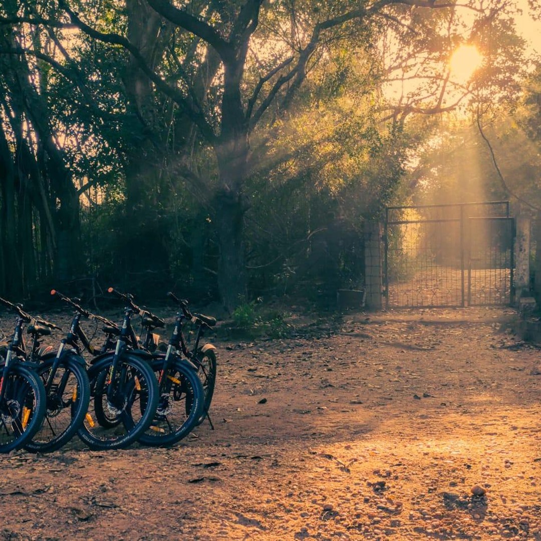 Chennai Good Places To Ride A Bike Near Me Bike Rentals In Chennai