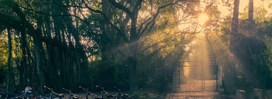 Auroville : Aventure cycliste en forêt sur les sentiers de la nature