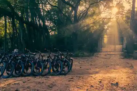 Auroville: Nature Trail Forest Cycling Adventure