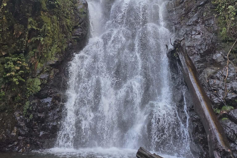Echoes of Adjara: Mountains, Wine & Tradition