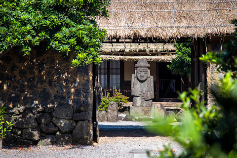 Jeju: UNESCO WestSouth & East Highlights 2 Days Combo Tour