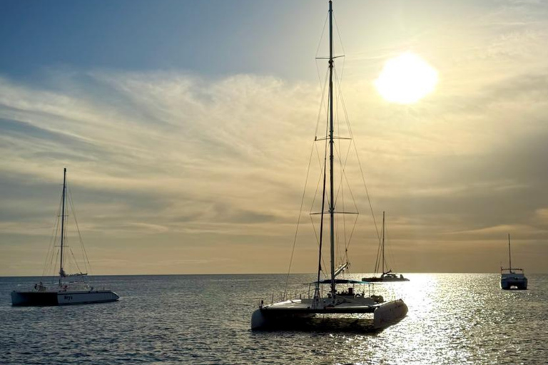 Punta Cana: Saona Island Paradise Catamaran Sightseeing Tour with Lunch and Drinks Punta Cana: Macao Beach and Local Dominican Experience