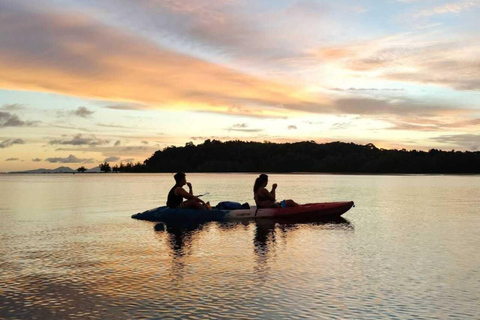 Krabi: Ao Thalane Mangrove Kayaking Tour with Pickup Half Day Kayak - Morning Session