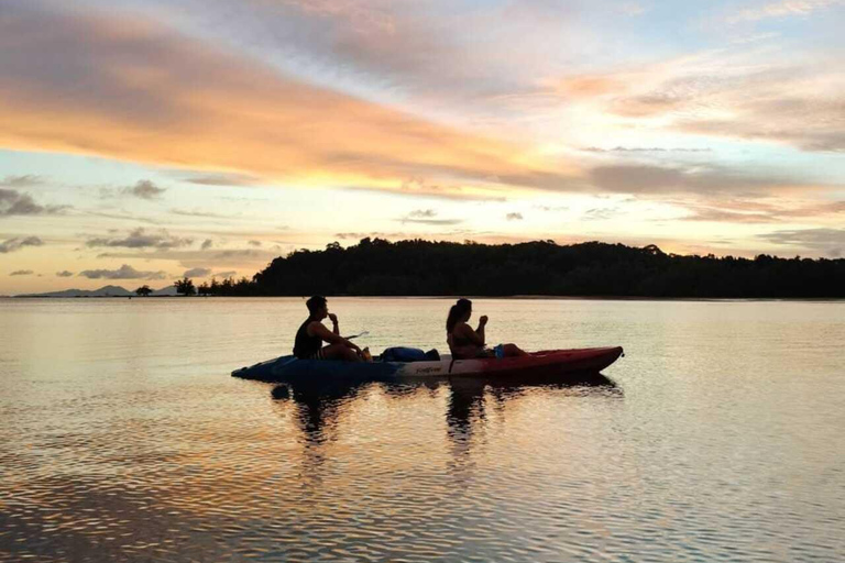 Krabi: Ao Thalane Mangrove Kayaking Tour with Pickup Half Day Kayak - Morning Session