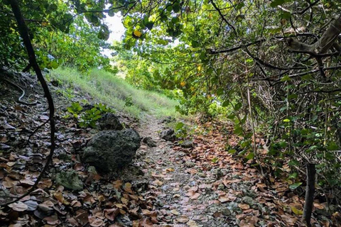 Barbados: Hiking and Sightseeing Tour