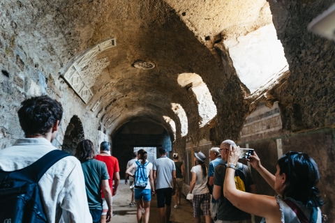 Ab Neapel: Ruinen von Pompeji & Vesuv TagestourTour auf Englisch - Live Guide Abholung vom Hauptbahnhof