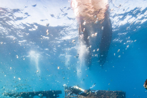 Sunshine Coast: Scuba Dive the Ex-HMAS Brisbane Ship Wreck