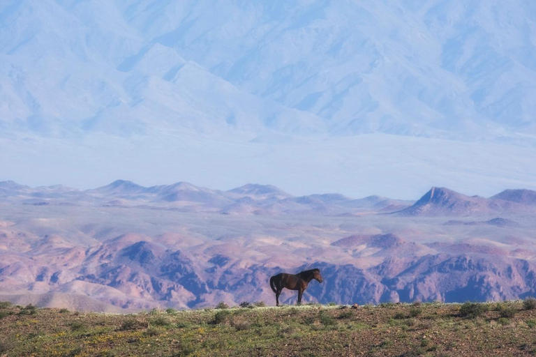 Mongolia: Terelj National Park Horseback Ride