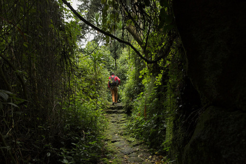 Natural Walking tour In Buhanga Eco Park