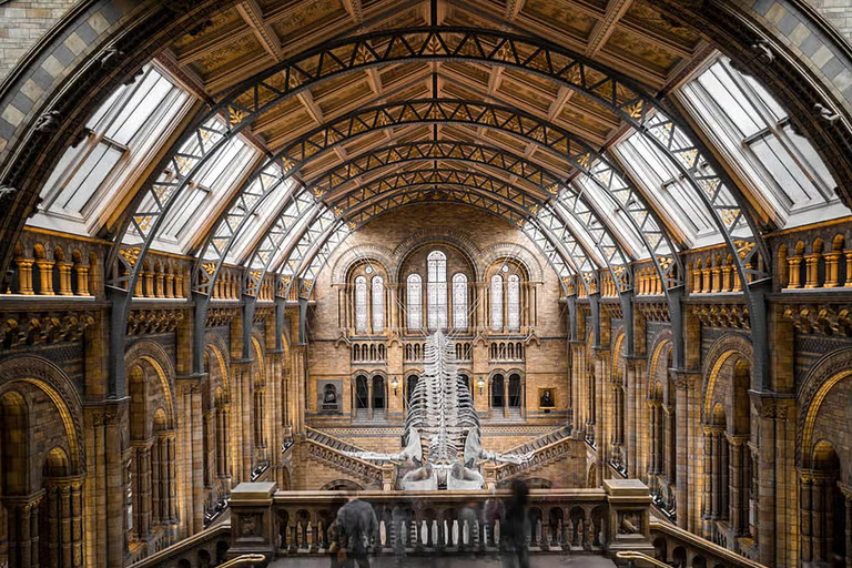 London: Sculptures and Art Tour at the British Museum