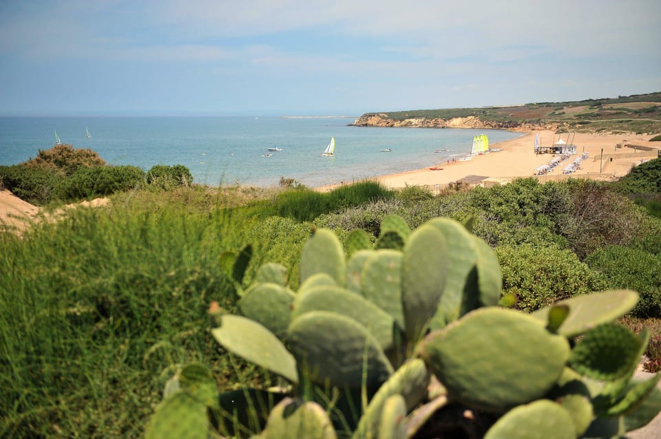 Private Transfer/Tour from TAORMINA to PALERMO or viceversa GetYourGuide