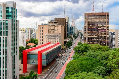 Santos Private Shore Excursion: Sao Paulo Full Day City Tour