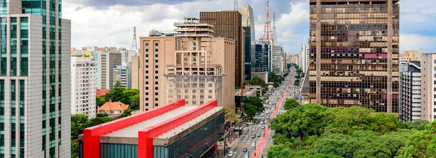 Excursion à Santos : Visite de Sao Paulo et de l'aéroport