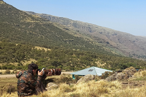 Etiopia Najlepsze 16-dniowe wycieczki, trekking w góry, wulkan, plemiona16 dni góry Simien, depresja Danakil, plemię Omo Vallely