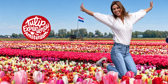 Amsterdam: Tulip Fields Tour + Tulip Experience Flex Return