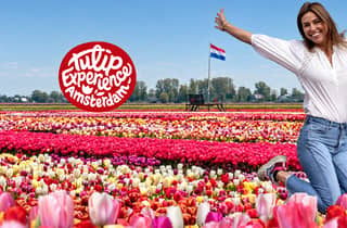 Amsterdam: Tulpenfeld-Tour + Tulip Experience mit flexibler Rückfahrt