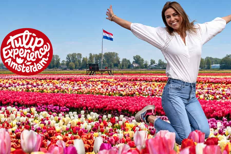 Amsterdam: Tulpenfeld-Tour + Tulip Experience mit flexibler Rückfahrt. Foto: GetYourGuide Amsterdam: Tulpenfeld-Tour + Tulip Experience mit flexibler Rückfahrt. Foto: GetYourGuide
