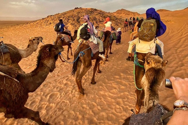 Zagora Desert: 2-Day 1-Night Desert Expedition to Remember