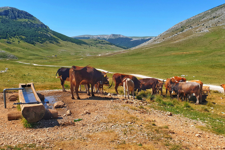 From Sarajevo: Offroad 4x4 Safari tour to Lukomir village
