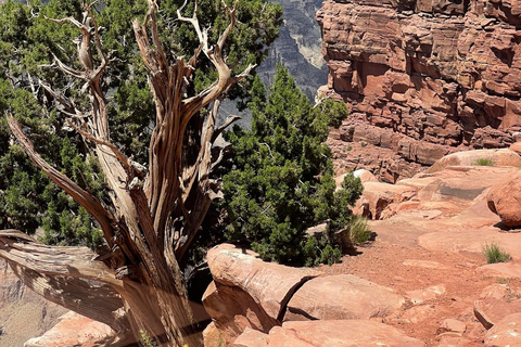 Grand Canyon West med lunch, stopp vid Hoover Dam och uppgradering av SkywalkResa till västra kanten