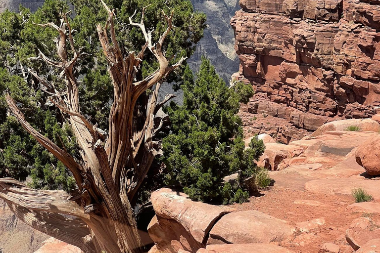 Grand Canyon West com almoço, parada na represa Hoover e atualização do SkywalkPasseio pela borda oeste